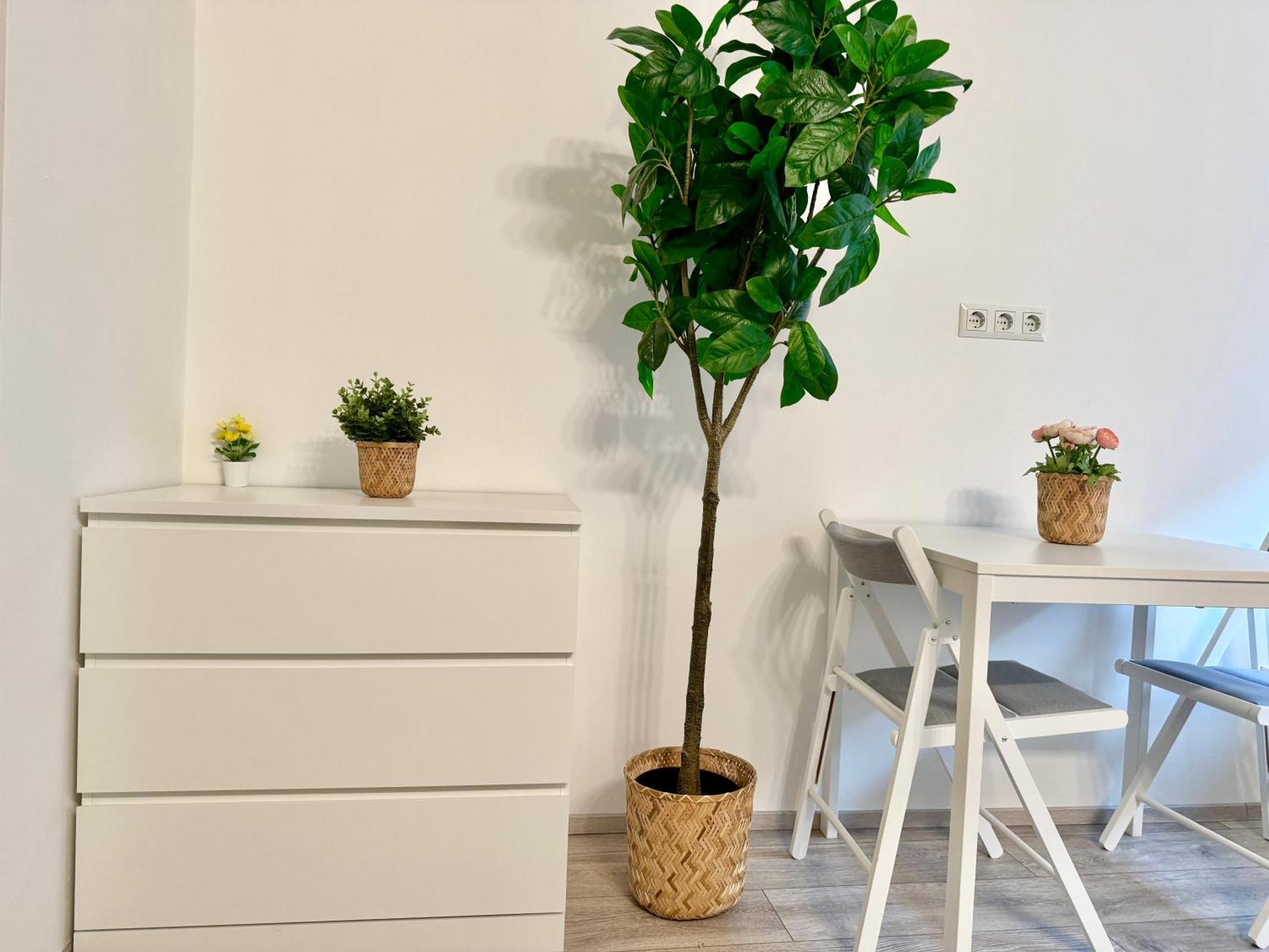 Stylish Schonbrunn Apartments With Free Parking فيينا المظهر الخارجي الصورة