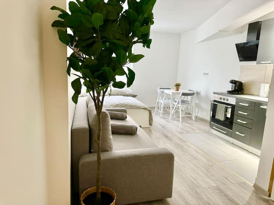Stylish Schonbrunn Apartments With Free Parking فيينا المظهر الخارجي الصورة